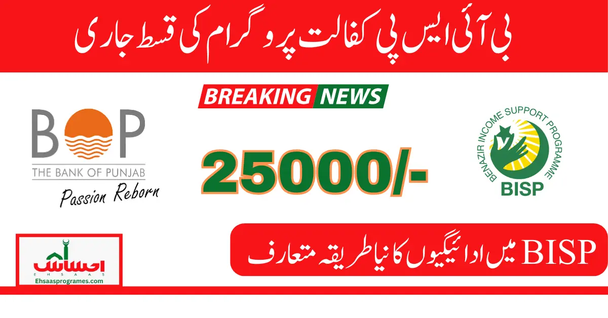 BISP 25000 Payment Received Via Bank Of Punjab Latest Method